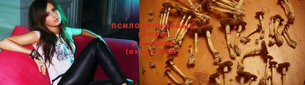 МДПВ Волоколамск