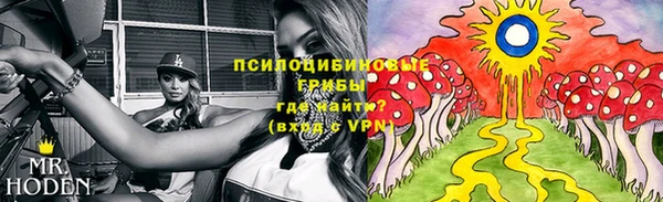 дживик Володарск