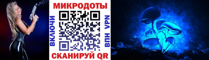 Галлюциногенные грибы мухоморы  ОМГ ОМГ зеркало  Всеволожск 